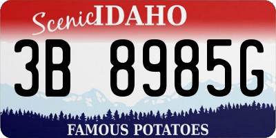 ID license plate 3B8985G