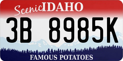 ID license plate 3B8985K