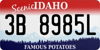 ID license plate 3B8985L