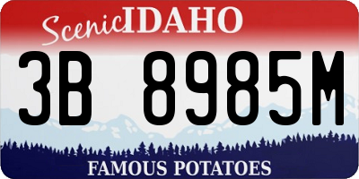 ID license plate 3B8985M