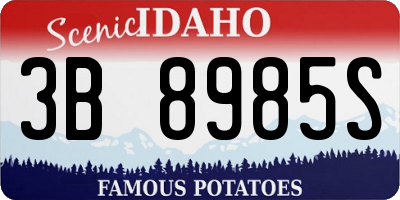 ID license plate 3B8985S