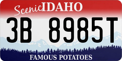 ID license plate 3B8985T