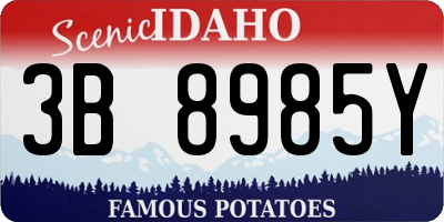 ID license plate 3B8985Y