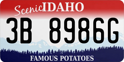 ID license plate 3B8986G