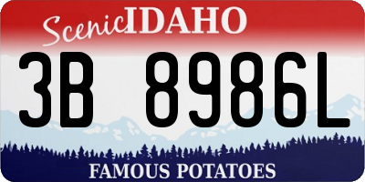 ID license plate 3B8986L