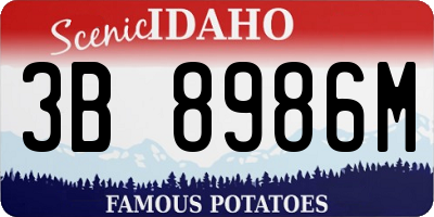 ID license plate 3B8986M