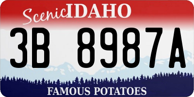 ID license plate 3B8987A