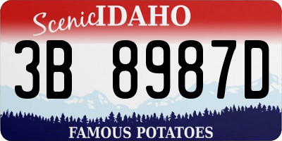 ID license plate 3B8987D