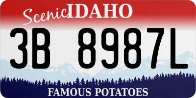 ID license plate 3B8987L
