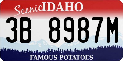 ID license plate 3B8987M