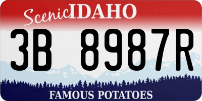 ID license plate 3B8987R