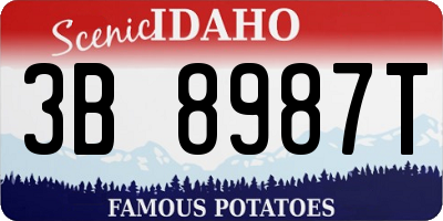 ID license plate 3B8987T