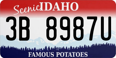 ID license plate 3B8987U