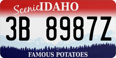 ID license plate 3B8987Z