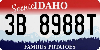 ID license plate 3B8988T