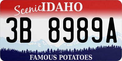 ID license plate 3B8989A