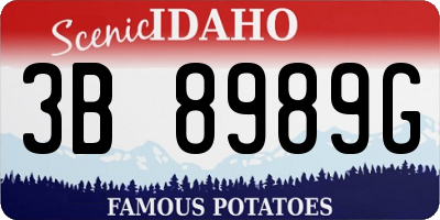 ID license plate 3B8989G