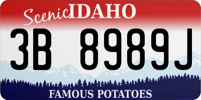ID license plate 3B8989J
