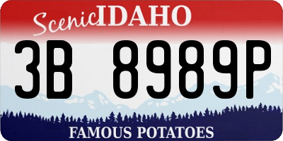 ID license plate 3B8989P