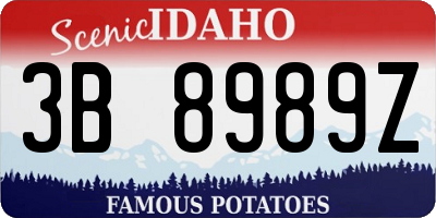 ID license plate 3B8989Z
