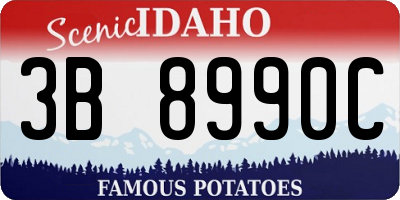 ID license plate 3B8990C