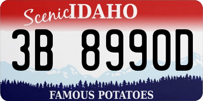 ID license plate 3B8990D