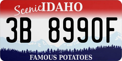 ID license plate 3B8990F
