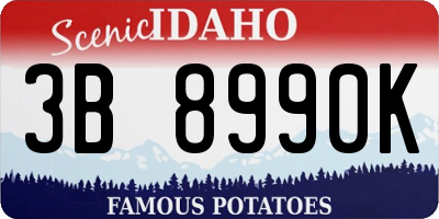 ID license plate 3B8990K