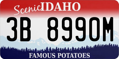 ID license plate 3B8990M
