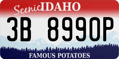 ID license plate 3B8990P