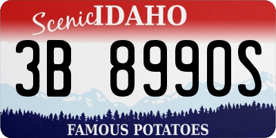 ID license plate 3B8990S