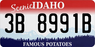 ID license plate 3B8991B