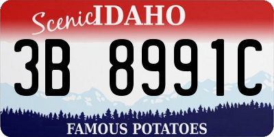 ID license plate 3B8991C
