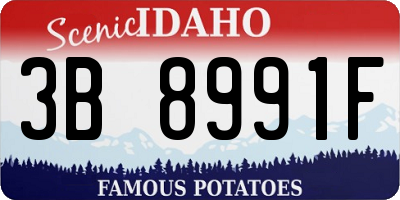 ID license plate 3B8991F