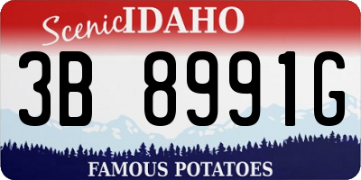 ID license plate 3B8991G