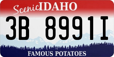 ID license plate 3B8991I