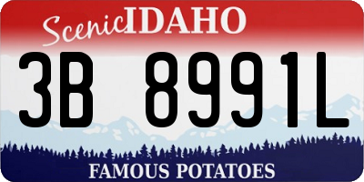 ID license plate 3B8991L