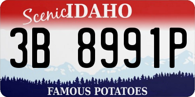 ID license plate 3B8991P