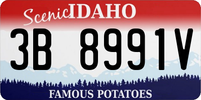ID license plate 3B8991V