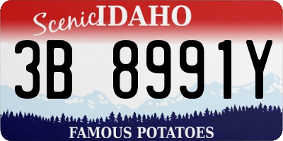 ID license plate 3B8991Y