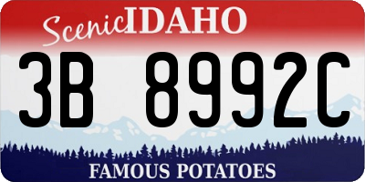 ID license plate 3B8992C