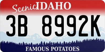 ID license plate 3B8992K