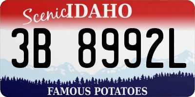 ID license plate 3B8992L