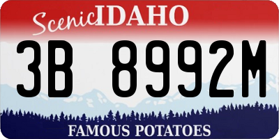 ID license plate 3B8992M