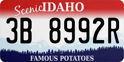 ID license plate 3B8992R