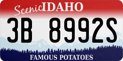 ID license plate 3B8992S