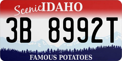 ID license plate 3B8992T