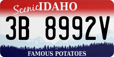 ID license plate 3B8992V