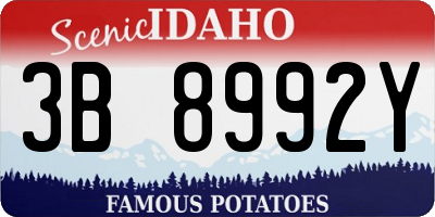 ID license plate 3B8992Y