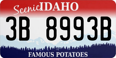 ID license plate 3B8993B